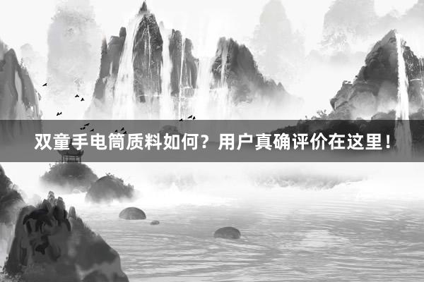 双童手电筒质料如何?用户真确评价在这里!